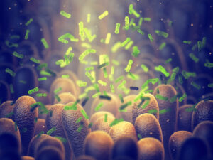 Antibiotics impact in the gut